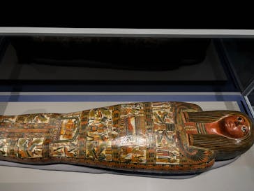 ブルックリン博物館所蔵　特別展　古代エジプト（豊田会場）に投稿された画像（2025/7/4）