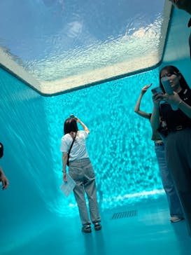 金沢21世紀美術館に投稿された画像（2025/7/4）