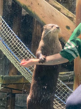 アクアワールド茨城県大洗水族館に投稿された画像（2025/7/4）