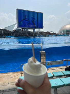 名古屋港水族館に投稿された画像（2025/7/4）