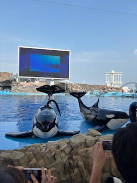 名古屋港水族館に投稿された画像（2025/7/4）