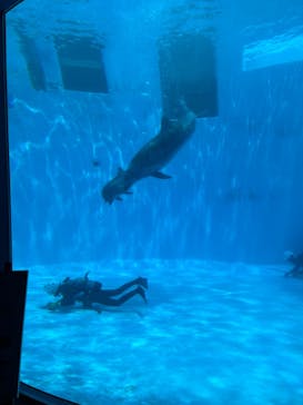 名古屋港水族館に投稿された画像（2025/7/4）