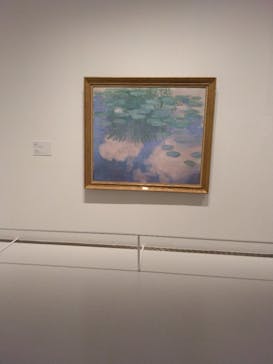 モネ 睡蓮のとき（豊田会場）に投稿された画像（2025/7/4）