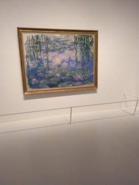 モネ 睡蓮のとき（豊田会場）に投稿された画像（2025/7/4）