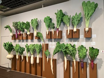 特別展「和食 ～日本の自然、人々の知恵～」に投稿された画像（2025/7/4）