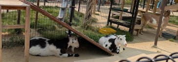 天王寺動物園に投稿された画像（2025/7/4）