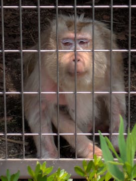 天王寺動物園に投稿された画像（2025/7/4）