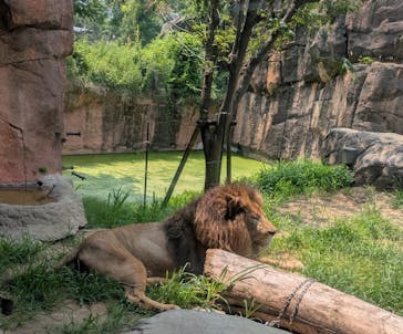 天王寺動物園に投稿された画像（2025/7/4）
