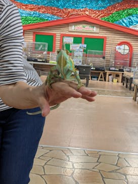 いきもの探検隊上尾に投稿された画像（2025/7/4）