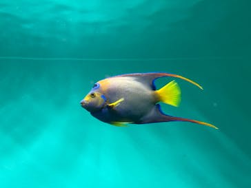 葛西臨海水族園に投稿された画像（2025/7/5）