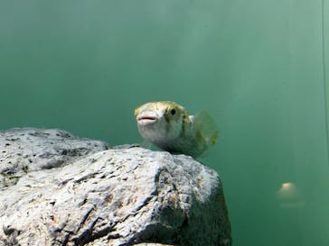 葛西臨海水族園に投稿された画像（2025/7/5）