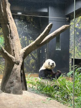 恩賜上野動物園に投稿された画像（2025/7/5）