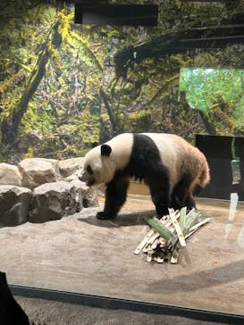 恩賜上野動物園に投稿された画像（2025/7/5）