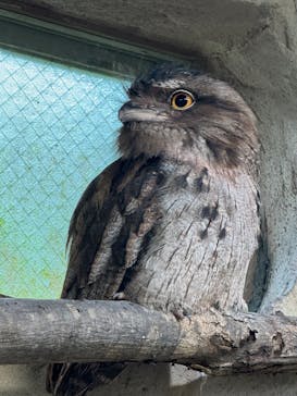 那須どうぶつ王国に投稿された画像（2025/7/5）