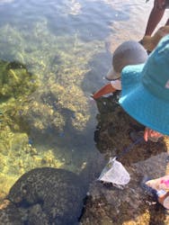 ゆしゆしに投稿された画像（2025/7/5）