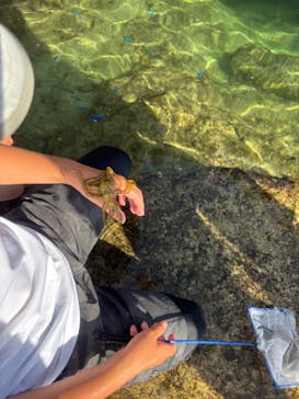 ゆしゆしに投稿された画像（2025/7/5）