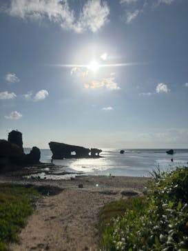 ゆしゆしに投稿された画像（2025/7/5）