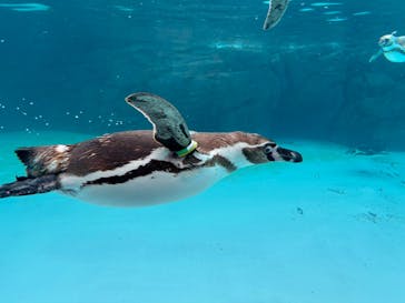 葛西臨海水族園に投稿された画像（2025/7/5）