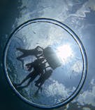 沖縄マリンサービス碧に投稿された画像（2025/7/5）