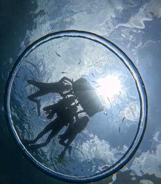 沖縄マリンサービス碧に投稿された画像（2025/7/5）