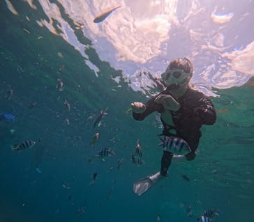 沖縄マリンサービス碧に投稿された画像（2025/7/5）