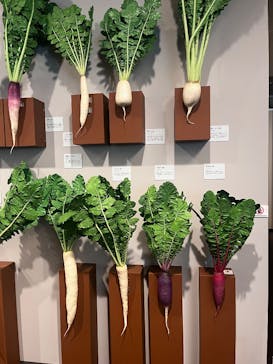 特別展「和食 ～日本の自然、人々の知恵～」に投稿された画像（2025/7/5）