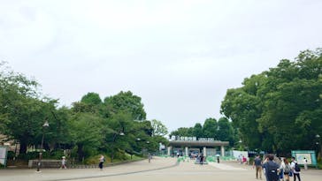 恩賜上野動物園に投稿された画像（2025/7/5）