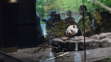 恩賜上野動物園に投稿された画像（2025/7/5）