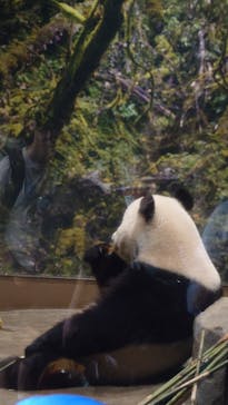 恩賜上野動物園に投稿された画像（2025/7/5）