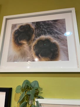 那須どうぶつ王国に投稿された画像（2025/7/5）