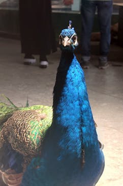 NIFREL（ニフレル）に投稿された画像（2025/7/5）