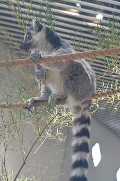 NIFREL（ニフレル）に投稿された画像（2025/7/5）