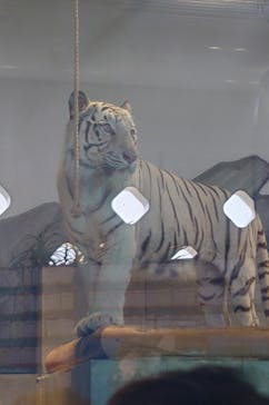 NIFREL（ニフレル）に投稿された画像（2025/7/5）