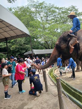 ANIMAL WONDER REZOURT 市原ぞうの国・サユリワールドに投稿された画像（2025/7/5）