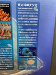 名古屋港水族館に投稿された画像（2025/7/5）