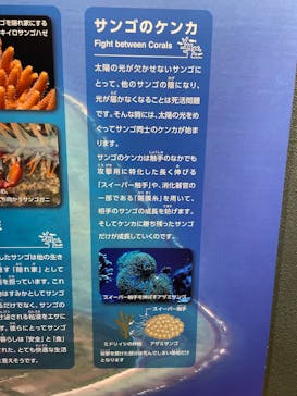 名古屋港水族館に投稿された画像（2025/7/5）