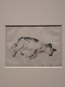 スウェーデン国立美術館　素描コレクション展―ルネサンスからバロックまでに投稿された画像（2025/7/5）