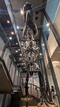 福井県立恐竜博物館に投稿された画像（2025/7/5）