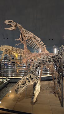 福井県立恐竜博物館に投稿された画像（2025/7/5）