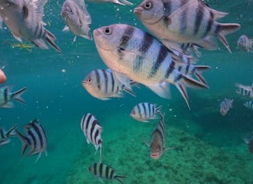 武藤潜水に投稿された画像（2025/7/5）