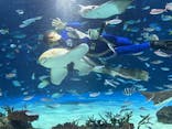 サンシャイン水族館に投稿された画像（2025/7/5）