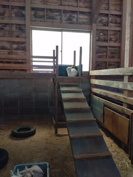 まかいの牧場に投稿された画像（2025/7/5）