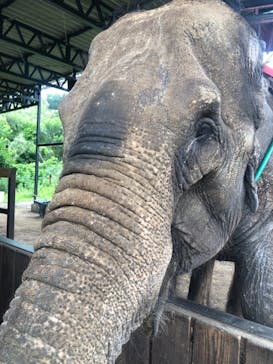 那須ワールドモンキーパークに投稿された画像（2025/7/5）