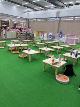 キッズランドUS 千葉フレスポ稲毛店に投稿された画像（2025/7/5）