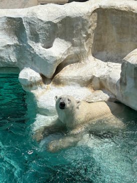 恩賜上野動物園に投稿された画像（2025/7/5）