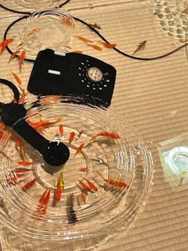 あべのハルカス美術館に投稿された画像（2025/7/5）