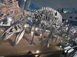 福井県立恐竜博物館に投稿された画像（2025/7/5）