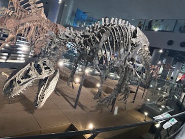 福井県立恐竜博物館に投稿された画像（2025/7/5）