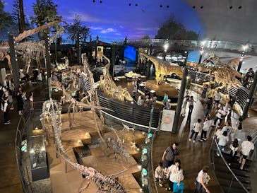 福井県立恐竜博物館に投稿された画像（2025/7/5）