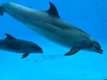 名古屋港水族館に投稿された画像（2025/7/5）